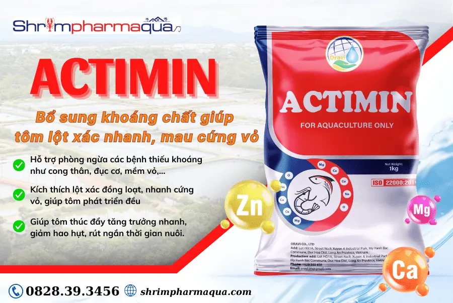 Công dụng của khoáng Actimin