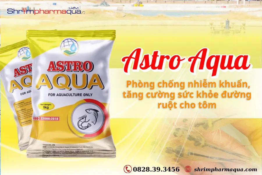 Hỗ trợ đường ruột, phòng nhiễm khuẩn cho tôm