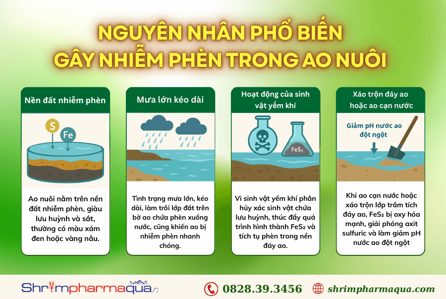 JETT AQUA–Thảo dược phòng ngừa gan, chống viêm nhiễm đường ruột cho tôm