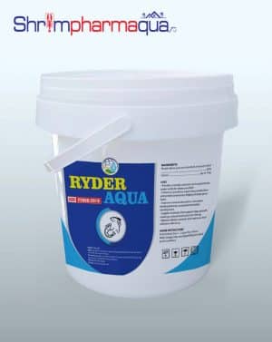 RYDER AQUA - Dinh dưỡng tăng trọng cho tôm cá.