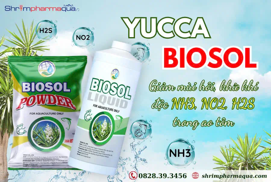BIOSOL POWDER - Xử lý khí độc NH3, NO2, làm sạch nước trong ao tôm