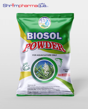 BIOSOL POWDER - Xử lý khí độc NH3, NO2, làm sạch nước trong ao tôm.