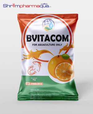 BVITACOM - Vitamin tổng hợp giúp giảm stress, tăng cường đề kháng cho tôm.