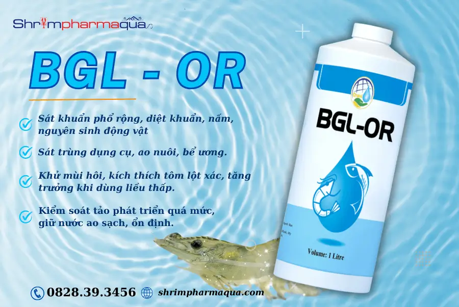 Công dụng của BGL-OR