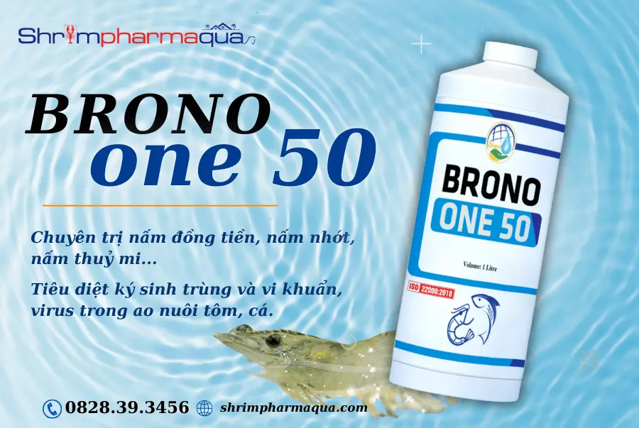 Chuyên trị nấm đồng tiền, nấm nhớt, nấm thuỷ mi