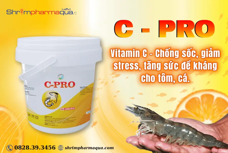 Chống sốc, giảm stress, tăng sức đề kháng cho tôm