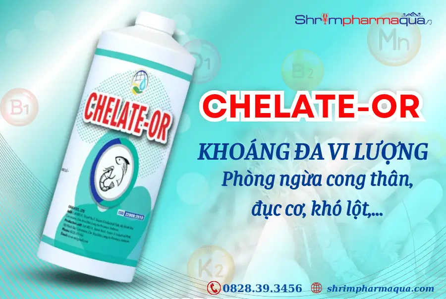 CHELATE-OR - Khoáng ngừa cong thân, đục cơ, kích lột cho tôm
