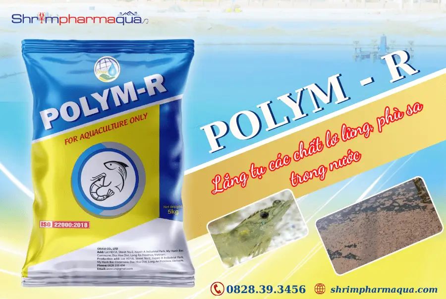 Lắng tụ các chất lơ lửng, phù sa trong nước