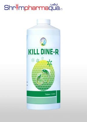 KILL DINE-R - Tiêu diệt vi khuẩn, ngăn ngừa phát sáng, phân trắng, đốm đen trên tôm