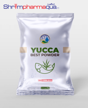 YUCCA BEST POWDER – Bổ sung vào thức ăn giúp xử lý amoniac, giảm FCR, xử lý mùi hôi cho ao tôm."