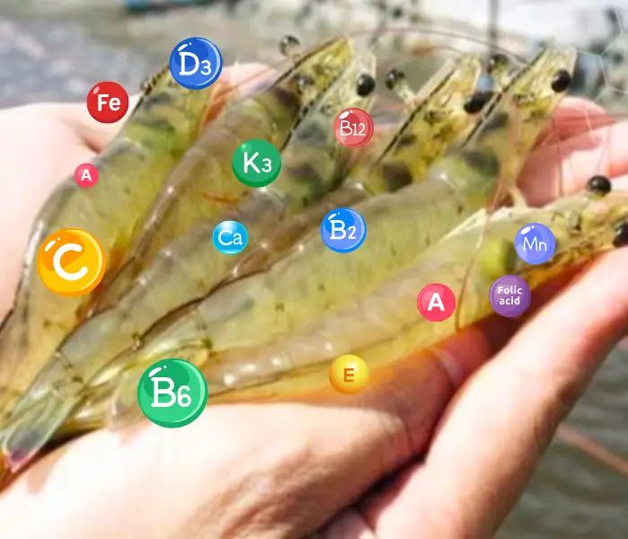 Cách bổ sung vitamin