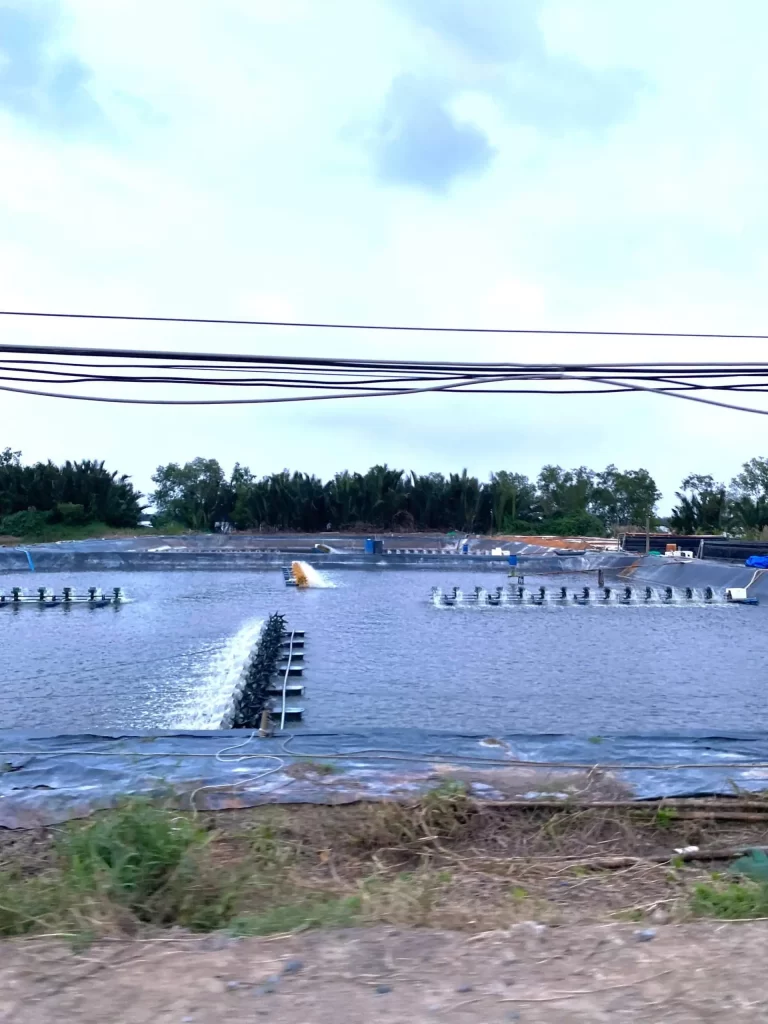 Vai trò của enzyme