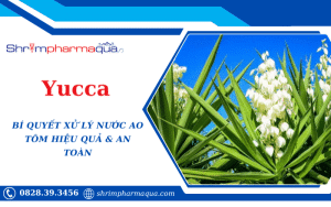 Giải pháp xử lý nước ao tôm hiệu quả và an toàn
