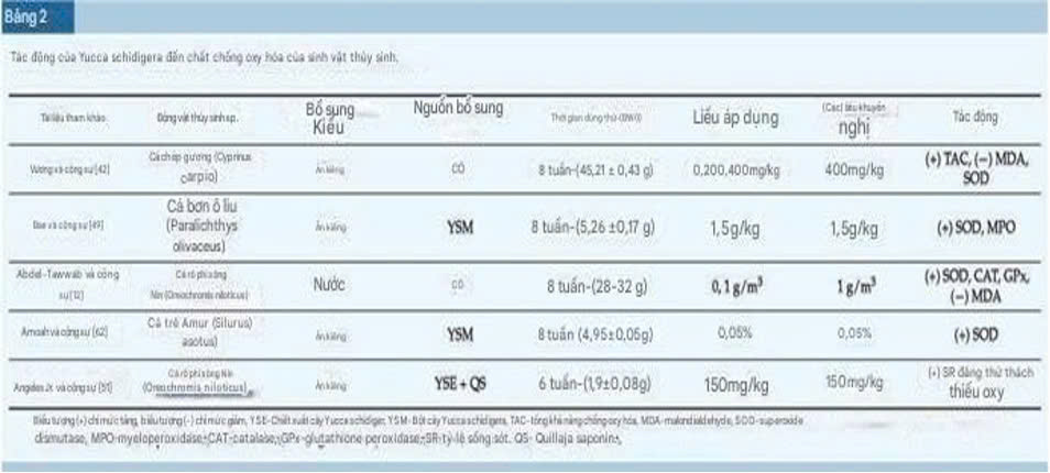 Yucca như một chất thúc đẩy tăng trưởng