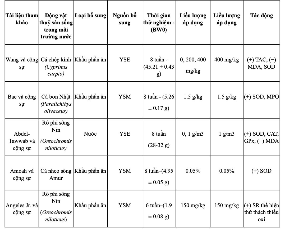 Tác động của cây Yucca schidigera đến chất chống oxy hóa của sinh vật thủy sản.