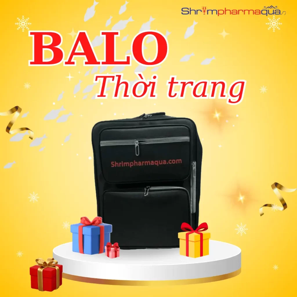 Balo thời trang cao cấp