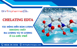 Chelating EDTA đến khoáng chất đa lượng và vi lượng ở cá giếc phổ (Carassius gibelio).