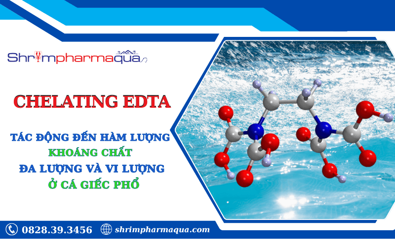 Chelating EDTA đến khoáng chất đa lượng và vi lượng ở cá giếc phổ (Carassius gibelio).