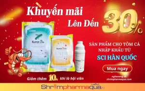 Khuyến Mãi Cực Sốc