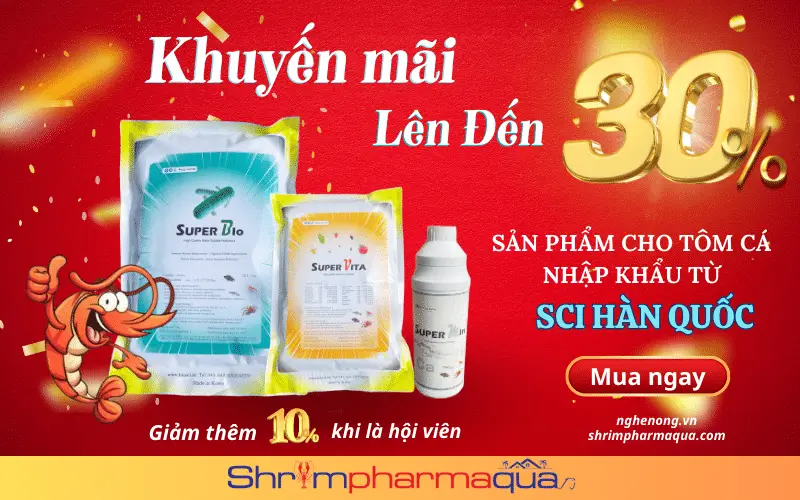 Khuyến Mãi Cực Sốc