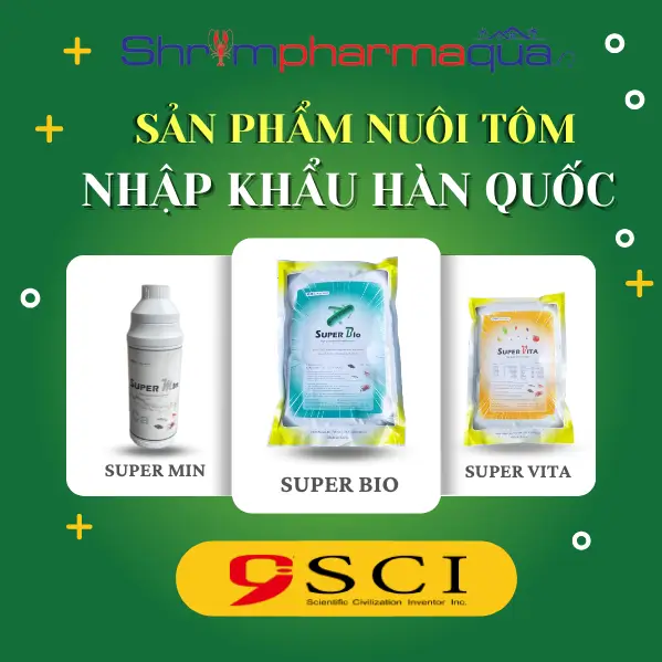 Ưu Đãi Khuyến Mãi Đặc Biệt Dành Cho Sản Phẩm
