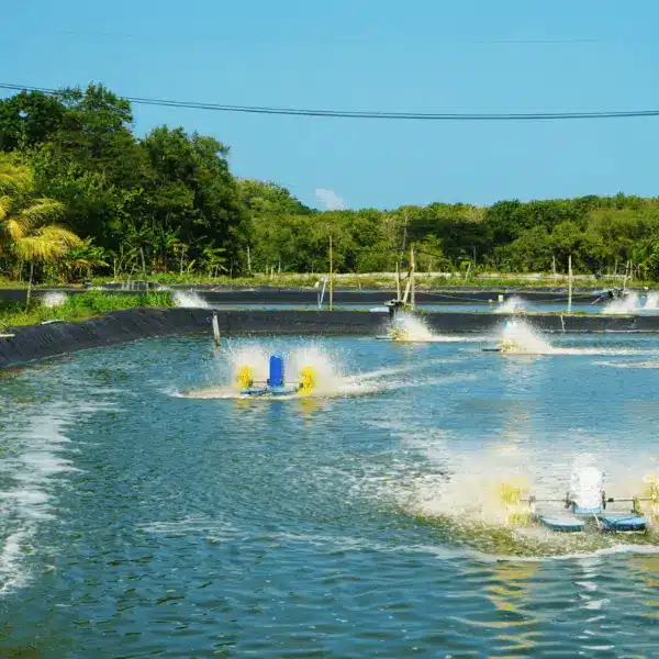 Shrimpharmaqua là cửa hàng đa kênh trực truyến.