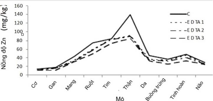 Hình 2. Biểu đồ biểu diễn nồng độ Zn trong mô nhóm đối chứng và nhóm thử nghiệm