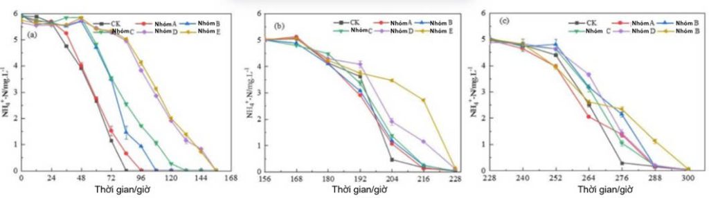 Quá trình loại bỏ amoniac (+NH₄⁻) trong từng nhóm thí nghiệm