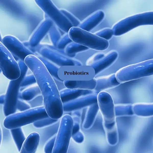 Probiotics trong nuôi trồng thủy sản shrimpharmaqua