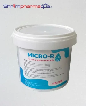 MICRO-R - Vi sinh hạt xử lý nước, giảm tảo, phân huỷ mùn bã hữu cơ cho ao quảng canh