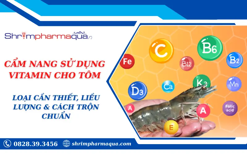 CẨM NANG SỬ DỤNG VITAMIN CHO TÔM: LOẠI CẦN THIẾT, LIỀU LƯỢNG & CÁCH TRỘN