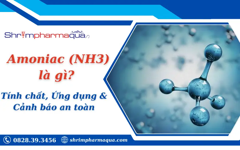 Amoniac (NH3) là gì