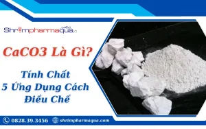 CaCO3 Là Gì?
