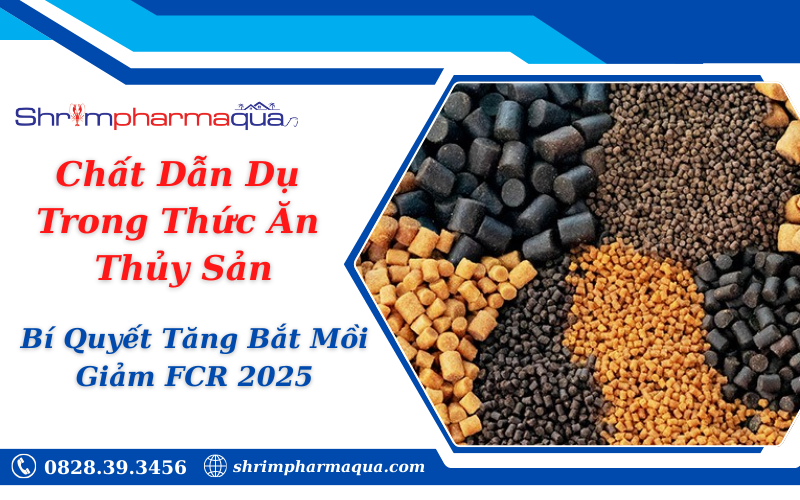 Chất Dẫn Dụ Trong Thức Ăn Thủy Sản: Bí Quyết Tăng Bắt Mồi & Giảm FCR 2025