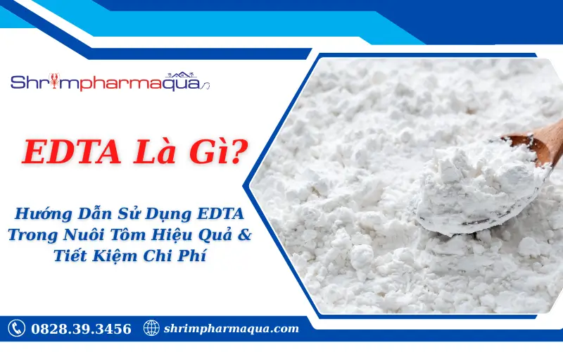 EDTA Là Gì? Hướng Dẫn Sử Dụng EDTA Trong Nuôi Tôm Hiệu Quả & Tiết Kiệm Chi Phí
