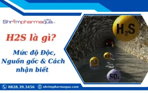 H2S là gì