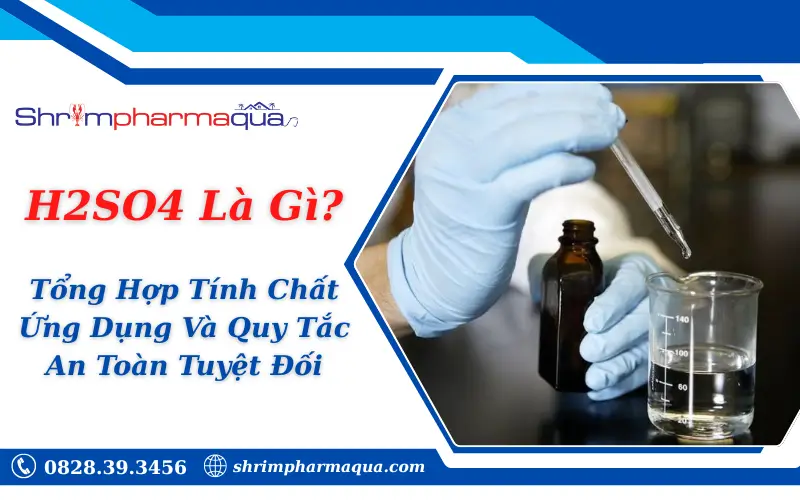 H2SO4 Là Gì? Tổng Hợp Tính Chất, Ứng Dụng Và Quy Tắc An Toàn Tuyệt Đối