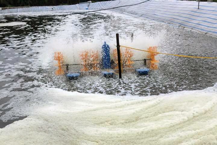 Men Vi Sinh Xử Lý Nước