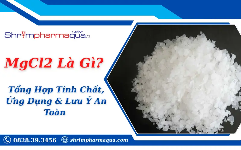 MgCl2 Là Gì?