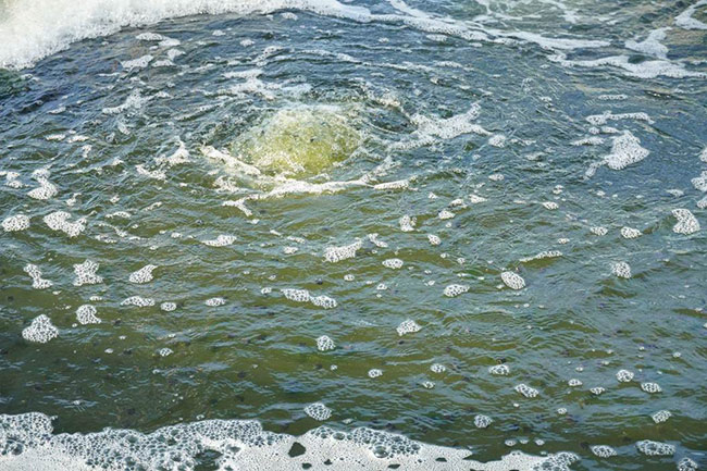 NGUYÊN NHÂN pH TĂNG CAO ĐỘT BIẾN TRONG AO TÔM