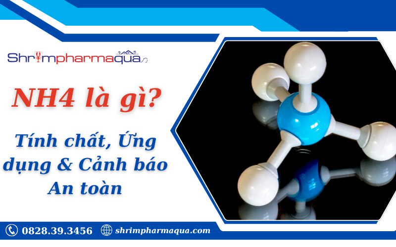 NH4 là gì? Tính chất, Ứng dụng & Cảnh báo An toàn