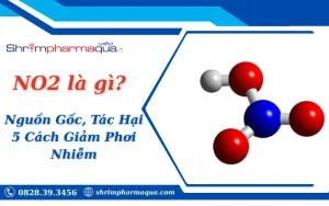 no2 là gì