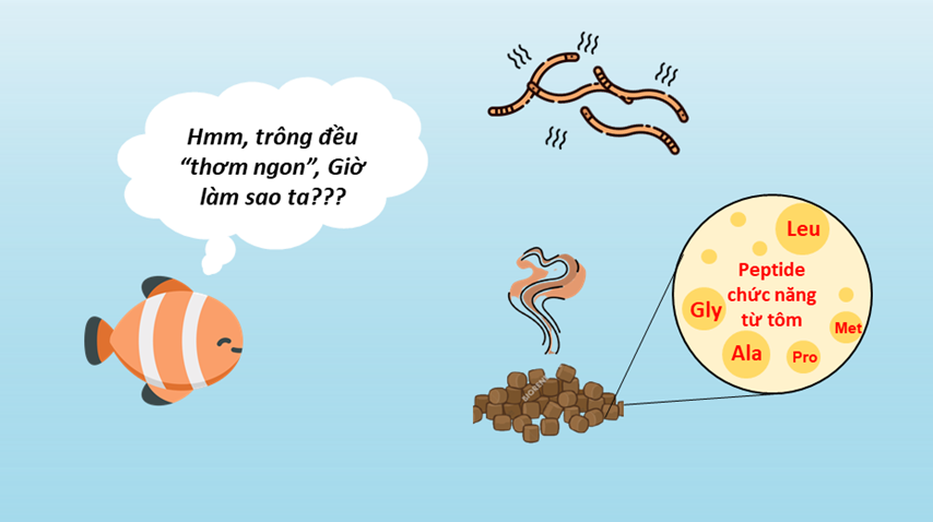 Phân Loại Chất Dẫn Dụ: Nên Dùng Loại Nào