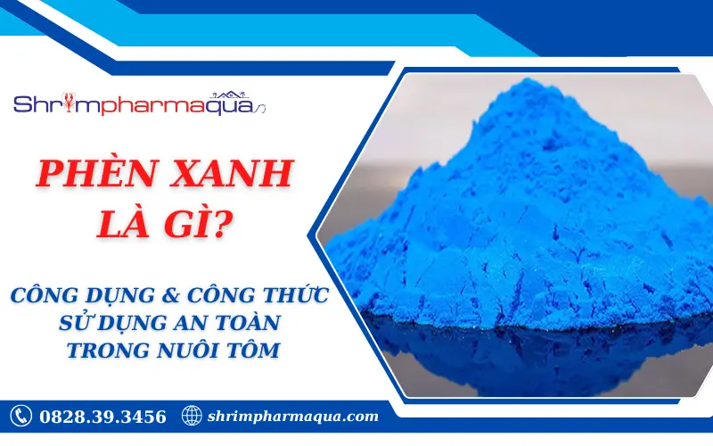PHÈN XANH LÀ GÌ? CÔNG DỤNG & CÔNG THỨC SỬ DỤNG AN TOÀN TRONG NUÔI TÔM 2025