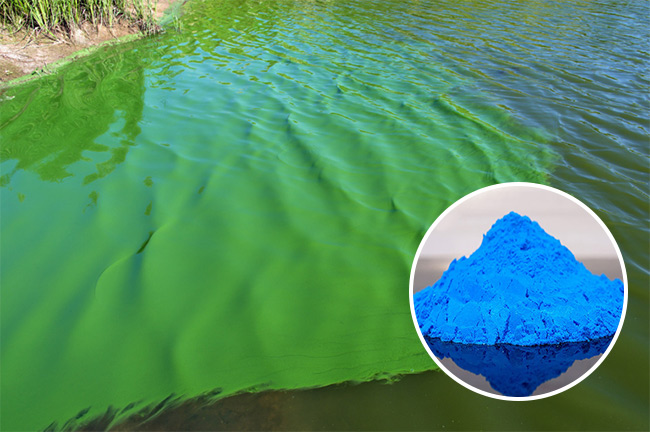 Quy-Trinh-4-Buoc-Danh-Phen-Xanh-An-Toan-Hieu-Qua