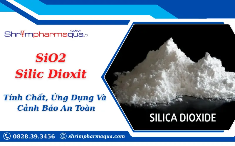 SiO2 Silic Dioxit