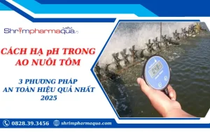 CÁCH HẠ pH TRONG AO NUÔI TÔM