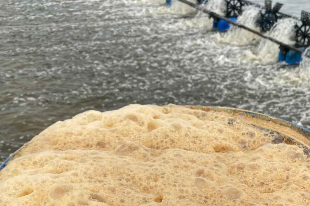 Men Vi Sinh Cho Tôm