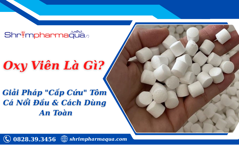 oxy-vien-la-gi
