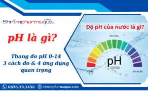 pH là gì?